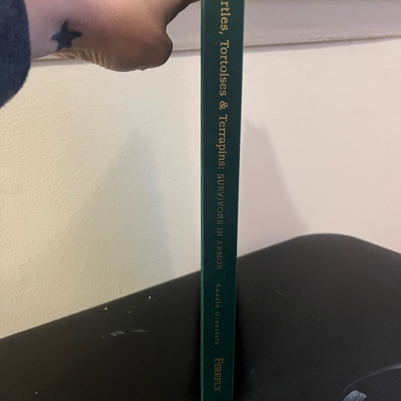 Survivors in Armor: A Guide to Turtles, Tortoises & Terrapins - Picture 3 of 7